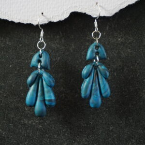 Oorbellen Aalscholver